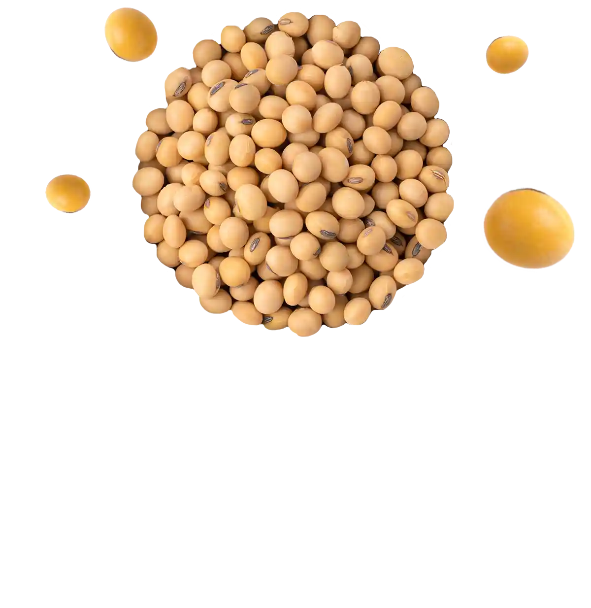 Kit alérgeno de$Soya